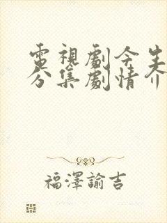 电视剧今生有你分集剧情介绍