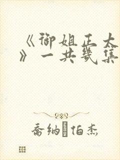 《御姐正太御姐》一共几集