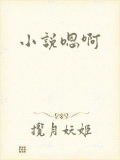 小说嗯啊