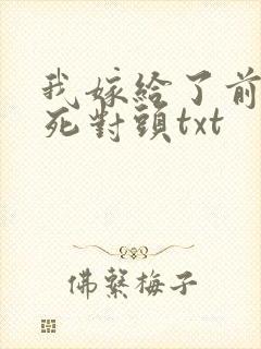 我嫁给了前世的死对头txt