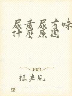 尿黄尿有味道是什么原因