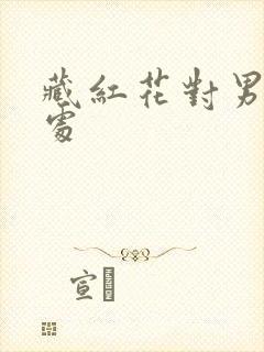 藏红花对男人好处