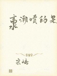 高潮喷的是什么水