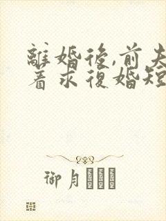 离婚后,前夫哭着求复婚短剧免费观看