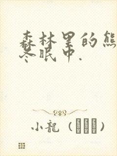 森林里的熊先生冬眠中.封面