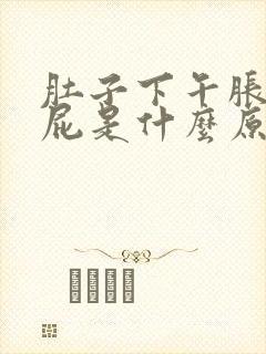 肚子下午胀气放屁是什么原因