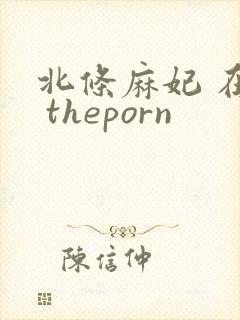 北条麻妃 在线 theporn
