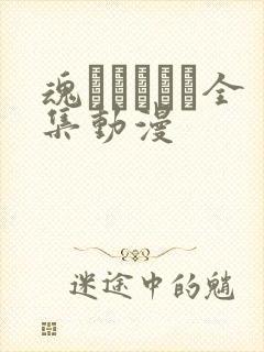 魂インサート全集动漫