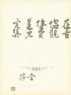 完美伴侣在线全集免费观看