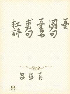 杜甫忧国忧民的诗句名句