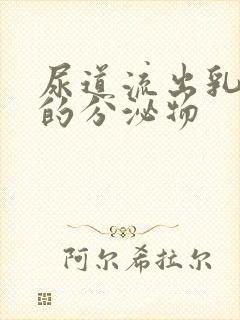 尿道流出乳白色的分泌物