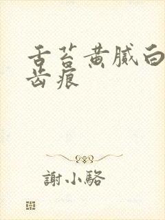 舌苔黄腻白厚有齿痕