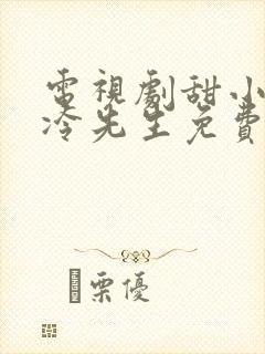 电视剧甜小姐和冷先生免费观看全集封面