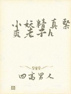 小妖精真紧h嘶爽老子h封面