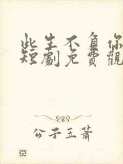 此生不负你深情短剧免费观看封面