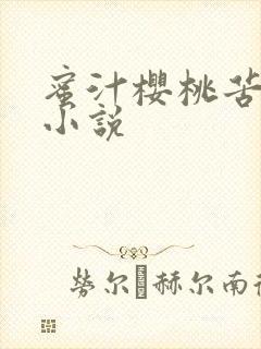 蜜汁樱桃苦咖啡小说