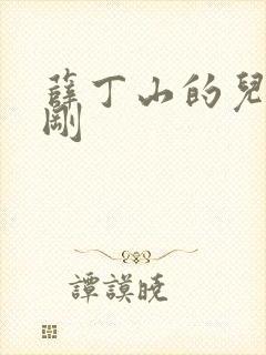 薛丁山的儿子薛刚封面