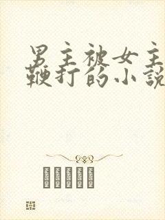 男主被女主用刑鞭打的小说叫什么名