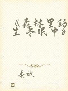 《森林里的熊先生 冬眠中》