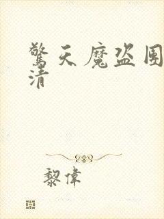 惊天魔盗团3高清