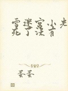 雪迷宫小光结局死了没有封面