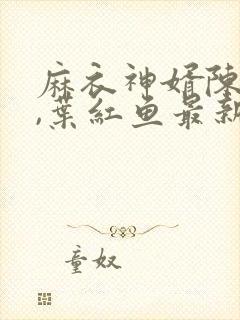 麻衣神婿陈黄皮,叶红鱼最新章节