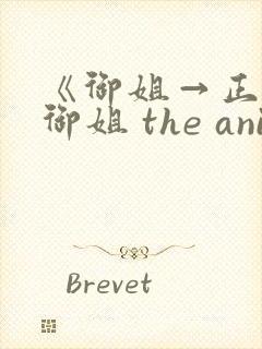《御姐→正太←御姐 the animation》