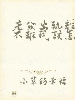 老公出轨离婚他不离我该怎么办