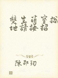 双生萌宝总裁爹地请接招