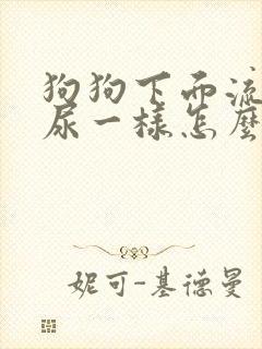 狗狗下面流水像尿一样怎么回事