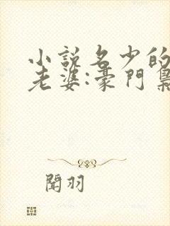 小说名少的神秘老婆:豪门枭宠aa制