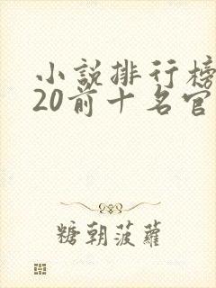 小说排行榜2020前十名官场