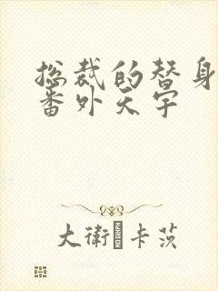 总裁的替身前妻番外天宇