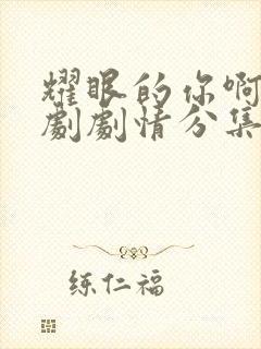 耀眼的你啊电视剧剧情分集介绍