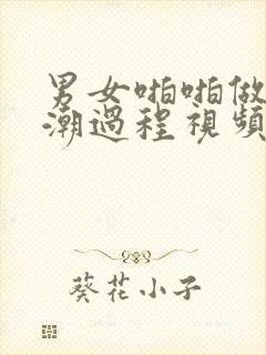 男女啪啪做爰高潮过程视频