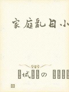 家庭乱日小说封面