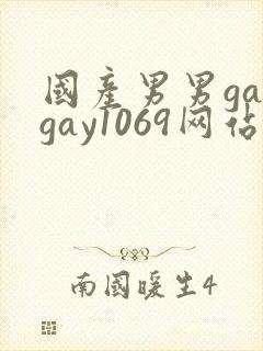国产男男gaygay1069网站