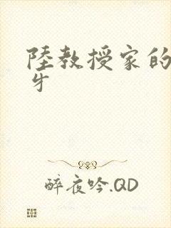 陆教授家的小月牙