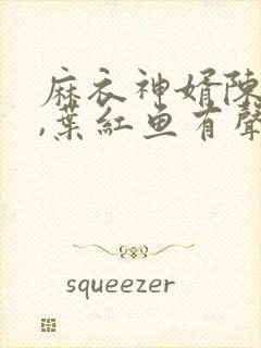 麻衣神婿陈黄皮,叶红鱼有声小说封面