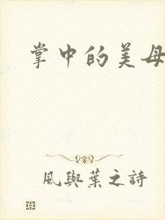 掌中的美母封面