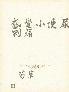 感觉小便尿不尽刺痛