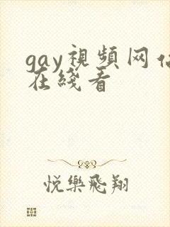 gay视频网站在线看封面