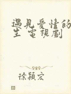 遇见爱情的利先生 电视剧