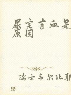 尿完有血是什么原因