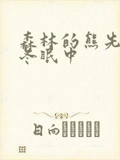 森林的熊先生在冬眠中封面