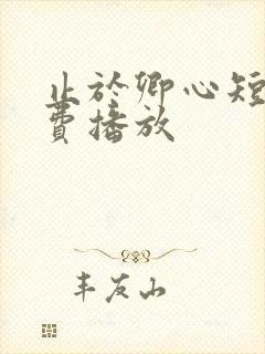 止于卿心短剧免费播放