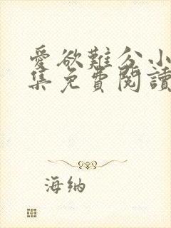 爱欲难分小说全集免费阅读封面