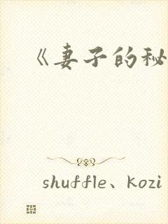 《妻子的秘密2封面