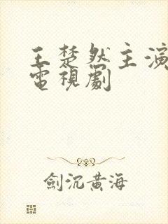 王楚然主演过的电视剧