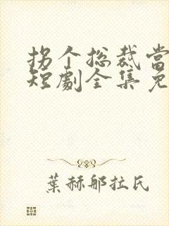 拐个总裁当爹地短剧全集免费观看